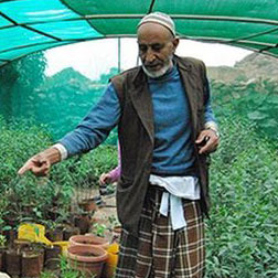 Yemen Coffee Grower
