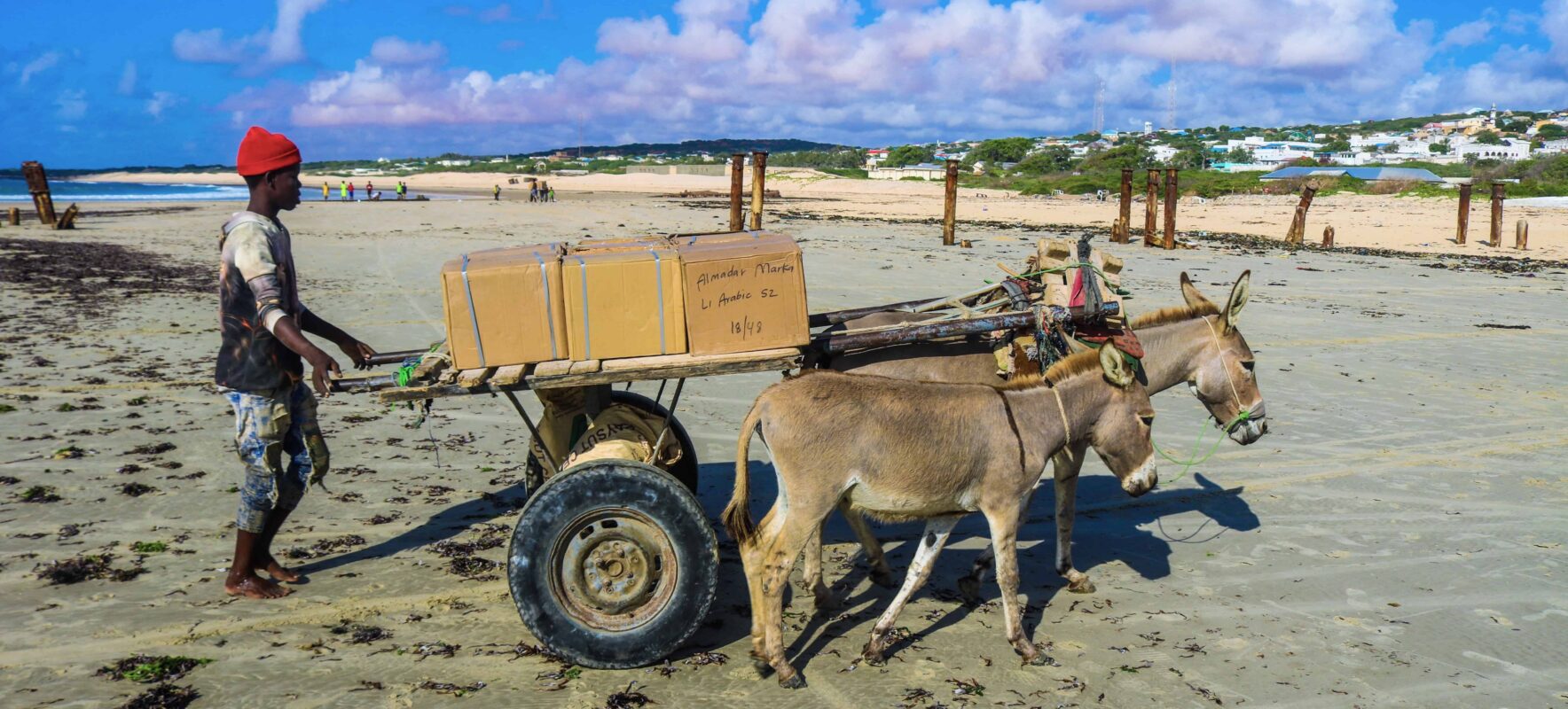 books being transported on donkeycarts in Marka, Somalia